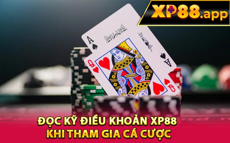 Đọc kỹ điều khoản XP88 khi tham gia cá cược