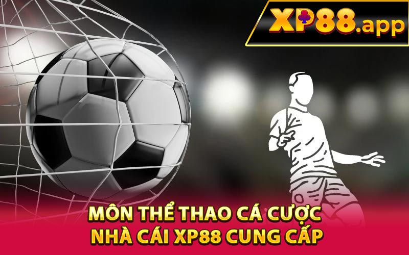 Môn thể thao cá cược nhà cái XP88 cung cấp