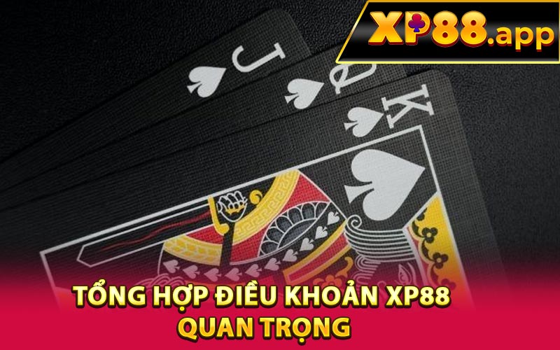 Tổng hợp điều khoản XP88 quan trọng