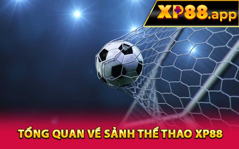 Tổng quan về sảnh thể thao XP88